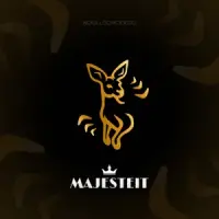 Lotje (Lil Kleine Remix) van Roeland Beelen - 247Spice Radio Amsterdam Hits